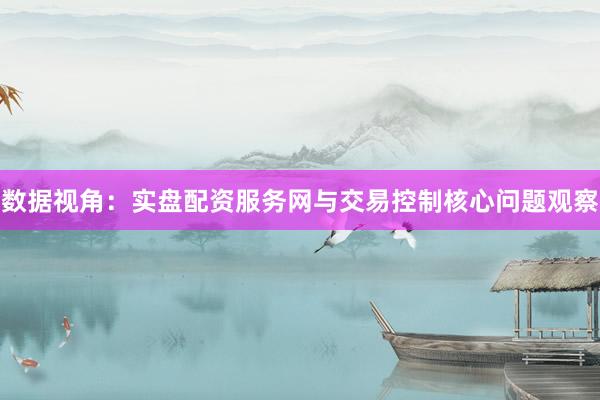 数据视角：实盘配资服务网与交易控制核心问题观察