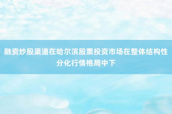 融资炒股渠道在哈尔滨股票投资市场在整体结构性分化行情格局中下