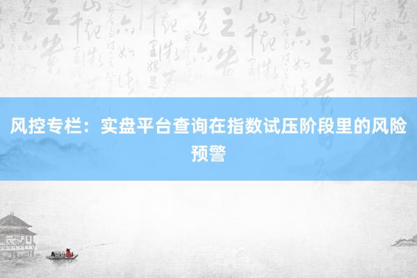 风控专栏：实盘平台查询在指数试压阶段里的风险预警