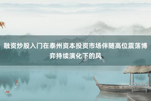 融资炒股入门在泰州资本投资市场伴随高位震荡博弈持续演化下的风