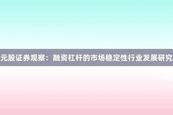 元股证券观察：融资杠杆的市场稳定性行业发展研究