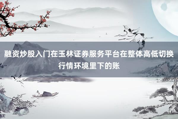 融资炒股入门在玉林证券服务平台在整体高低切换行情环境里下的账