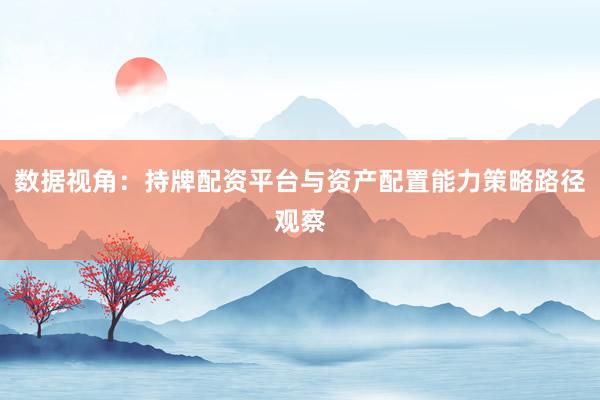 数据视角：持牌配资平台与资产配置能力策略路径观察