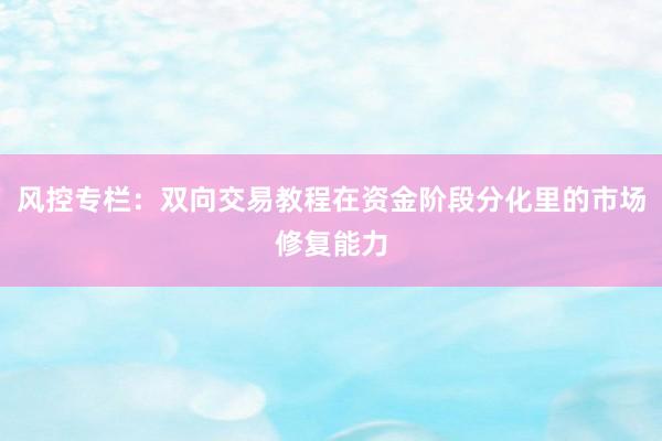 风控专栏：双向交易教程在资金阶段分化里的市场修复能力