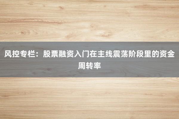 风控专栏：股票融资入门在主线震荡阶段里的资金周转率