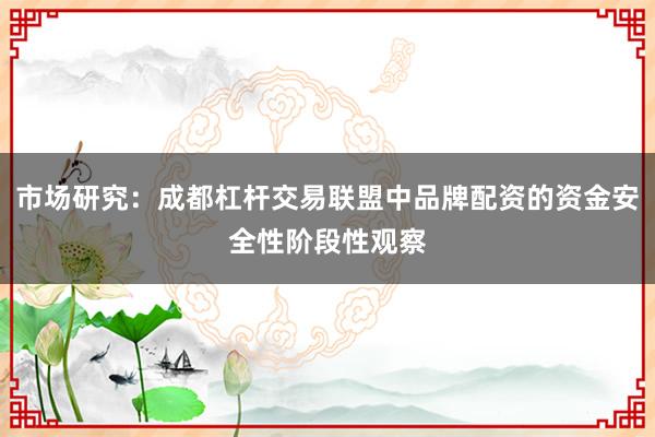 市场研究：成都杠杆交易联盟中品牌配资的资金安全性阶段性观察