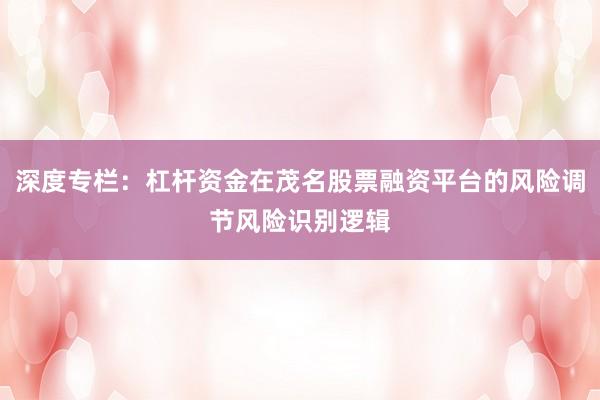 深度专栏：杠杆资金在茂名股票融资平台的风险调节风险识别逻辑