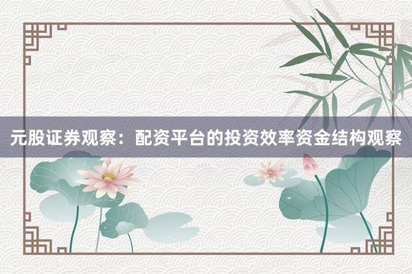 元股证券观察：配资平台的投资效率资金结构观察