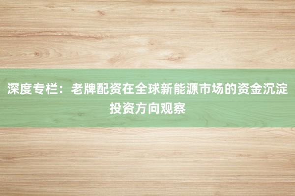 深度专栏：老牌配资在全球新能源市场的资金沉淀投资方向观察