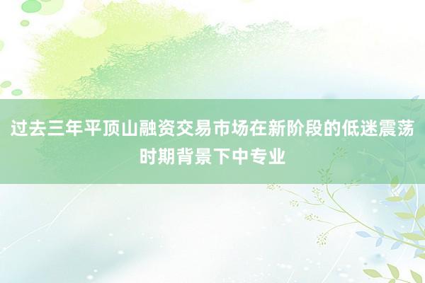 过去三年平顶山融资交易市场在新阶段的低迷震荡时期背景下中专业