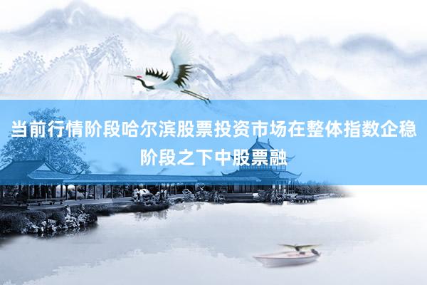 当前行情阶段哈尔滨股票投资市场在整体指数企稳阶段之下中股票融