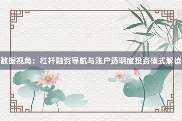 数据视角：杠杆融资导航与账户透明度投资模式解读