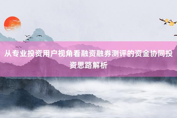 从专业投资用户视角看融资融券测评的资金协同投资思路解析