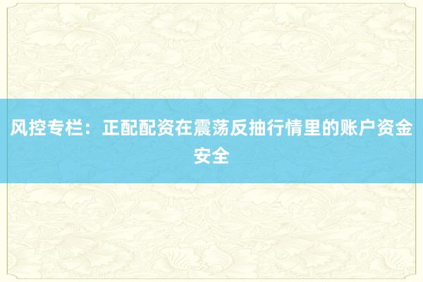 风控专栏：正配配资在震荡反抽行情里的账户资金安全