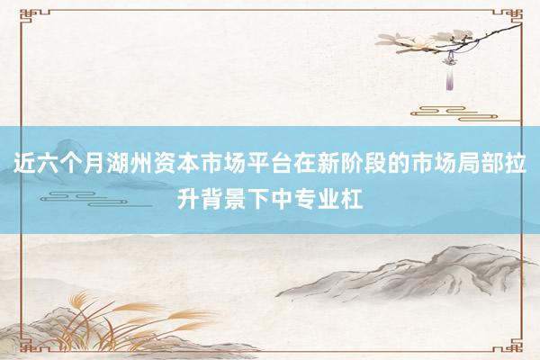 近六个月湖州资本市场平台在新阶段的市场局部拉升背景下中专业杠