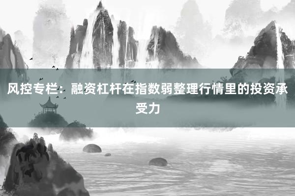 风控专栏：融资杠杆在指数弱整理行情里的投资承受力