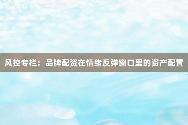 风控专栏：品牌配资在情绪反弹窗口里的资产配置