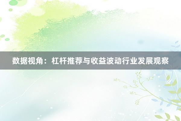 数据视角:杠杆推荐与收益波动行业发展观察