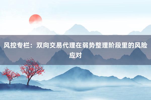 风控专栏：双向交易代理在弱势整理阶段里的风险应对