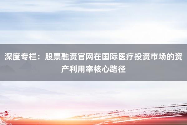 深度专栏：股票融资官网在国际医疗投资市场的资产利用率核心路径