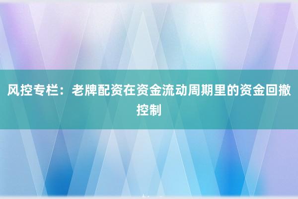 风控专栏：老牌配资在资金流动周期里的资金回撤控制