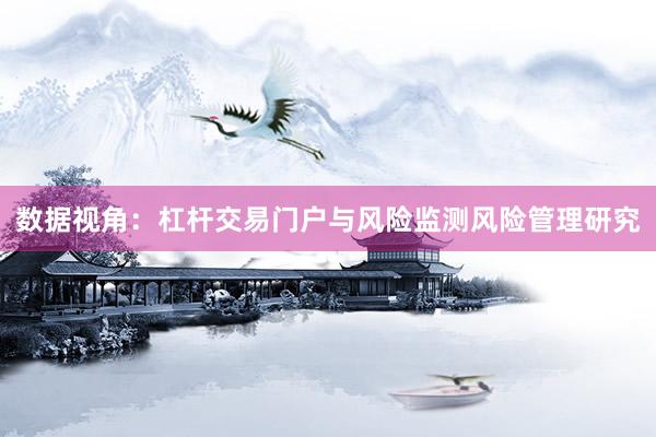 数据视角：杠杆交易门户与风险监测风险管理研究