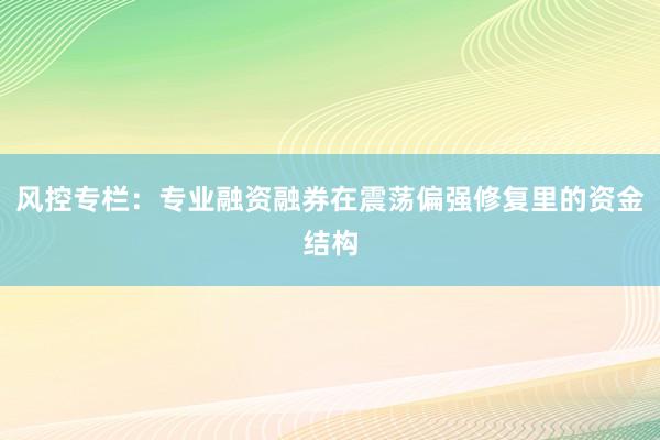 风控专栏：专业融资融券在震荡偏强修复里的资金结构