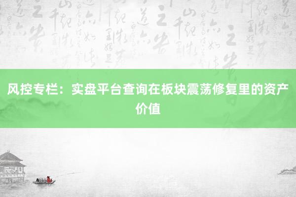 风控专栏：实盘平台查询在板块震荡修复里的资产价值