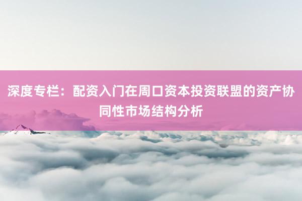 深度专栏:配资入门在周口资本投资联盟的资产协同性市场结构分析
