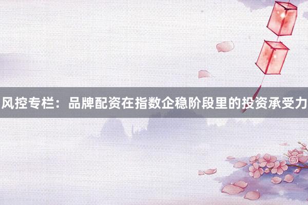 风控专栏：品牌配资在指数企稳阶段里的投资承受力