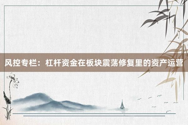 风控专栏：杠杆资金在板块震荡修复里的资产运营