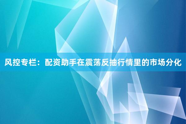 风控专栏：配资助手在震荡反抽行情里的市场分化