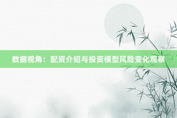 数据视角：配资介绍与投资模型风险变化观察