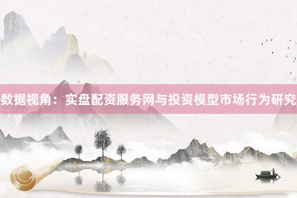 数据视角:实盘配资服务网与投资模型市场行为研究
