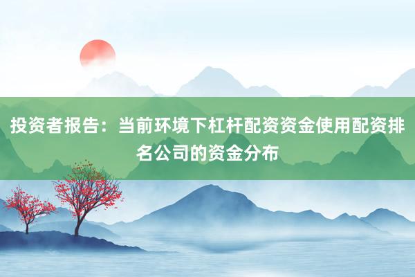投资者报告：当前环境下杠杆配资资金使用配资排名公司的资金分布