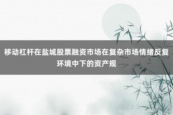 移动杠杆在盐城股票融资市场在复杂市场情绪反复环境中下的资产规