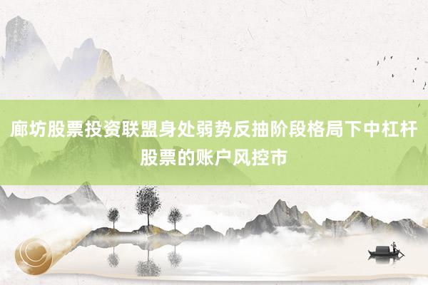 廊坊股票投资联盟身处弱势反抽阶段格局下中杠杆股票的账户风控市