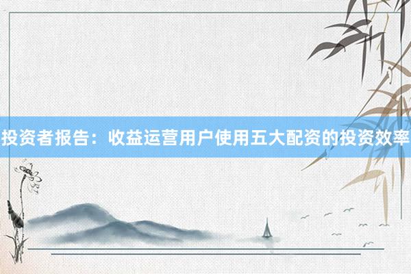 投资者报告：收益运营用户使用五大配资的投资效率