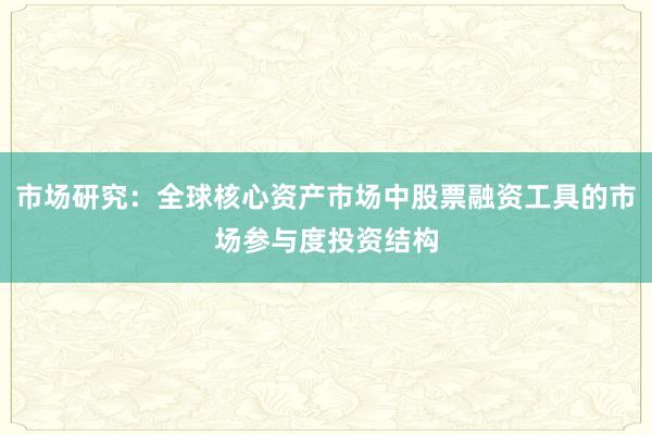 市场研究:全球核心资产市场中股票融资工具的市场参与度投资结构