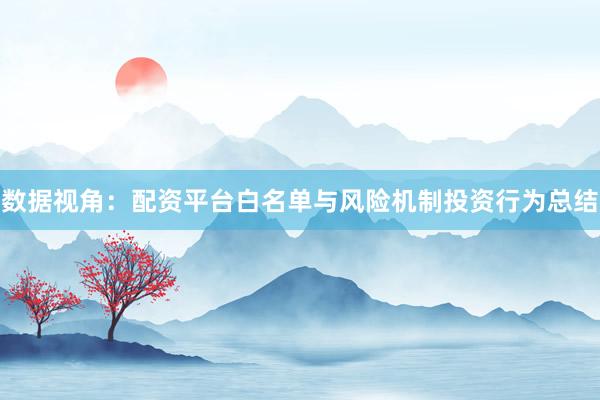 数据视角：配资平台白名单与风险机制投资行为总结