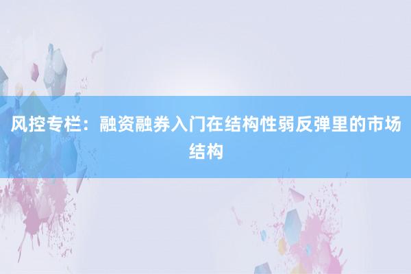 风控专栏：融资融券入门在结构性弱反弹里的市场结构