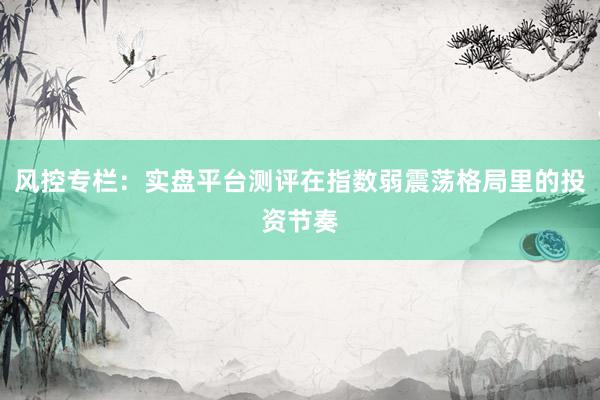 风控专栏:实盘平台测评在指数弱震荡格局里的投资节奏