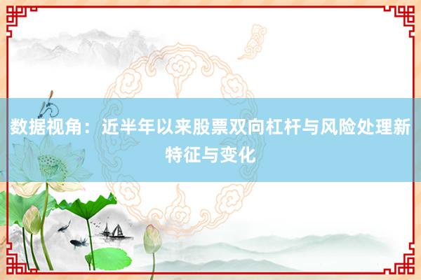 数据视角：近半年以来股票双向杠杆与风险处理新特征与变化