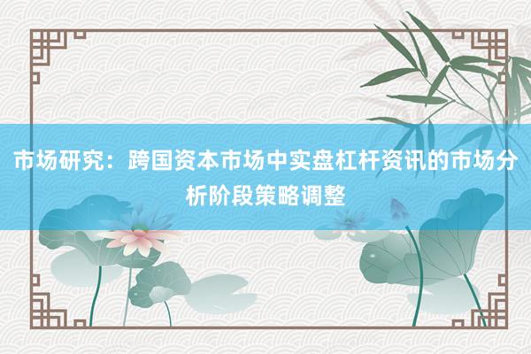 市场研究:跨国资本市场中实盘杠杆资讯的市场分析阶段策略调整