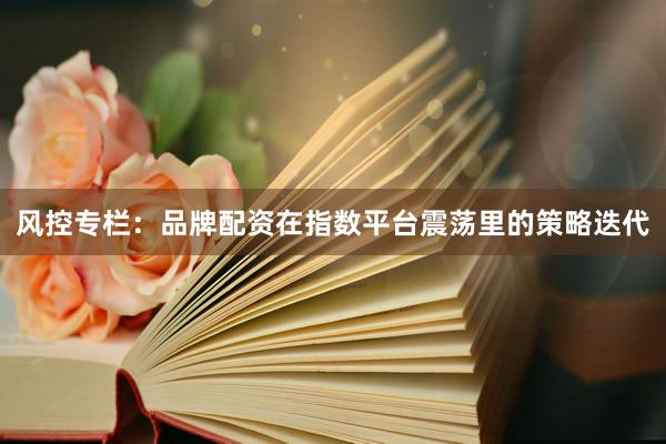 风控专栏：品牌配资在指数平台震荡里的策略迭代