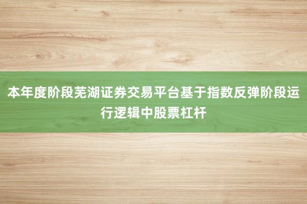 本年度阶段芜湖证券交易平台基于指数反弹阶段运行逻辑中股票杠杆