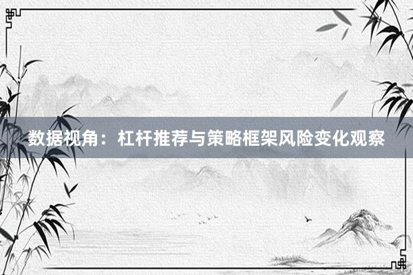 数据视角：杠杆推荐与策略框架风险变化观察