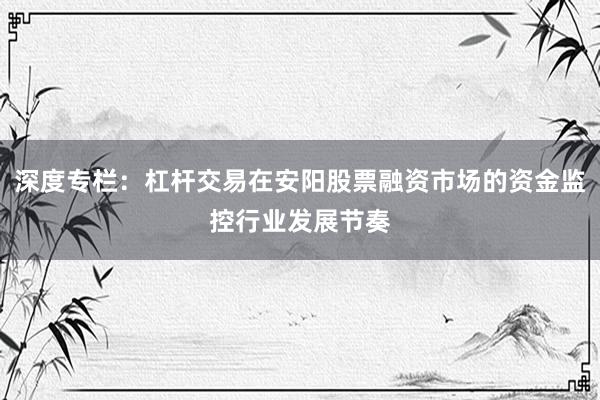 深度专栏：杠杆交易在安阳股票融资市场的资金监控行业发展节奏