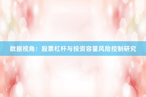 数据视角：股票杠杆与投资容量风险控制研究