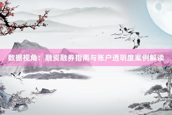 数据视角：融资融券指南与账户透明度案例解读